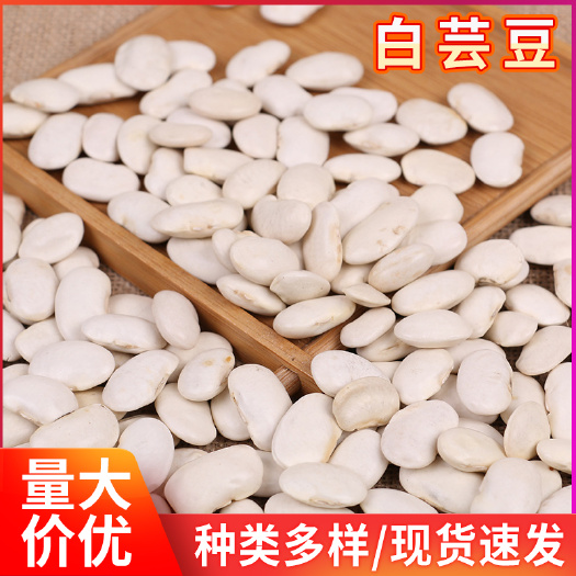临沂 白芸豆杂粮供应  云南芸豆大白芸豆 批发新货五谷杂粮白芸豆