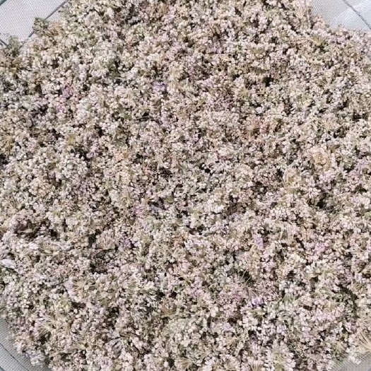 大同 野生麻麻花