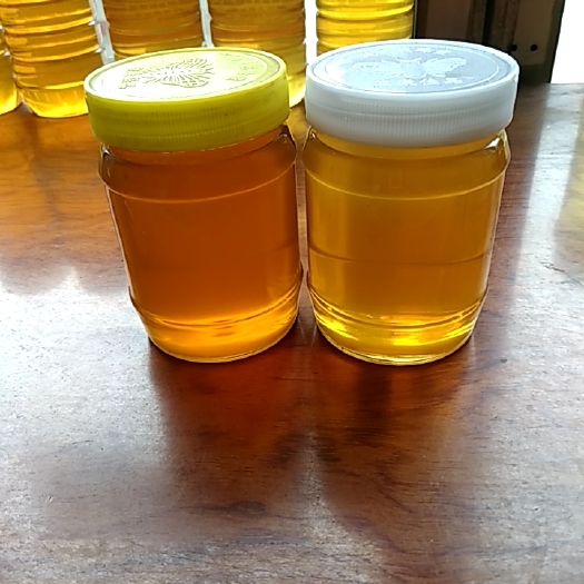 洪洞县 枣花蜜，荆花蜜