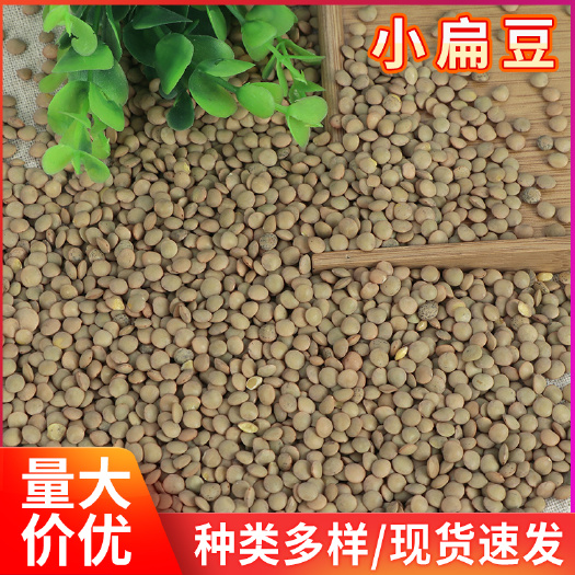 临沂厂家批发农家五谷杂粮小扁豆 凉皮凉粉原料干扁豆 小扁豆绿扁豆