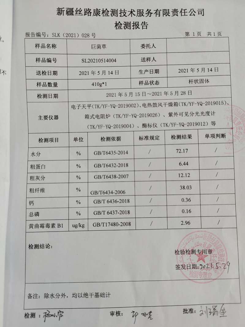 青储草  高蛋白菌草 饲草料 草料包
单独包装 每包400-450公斤