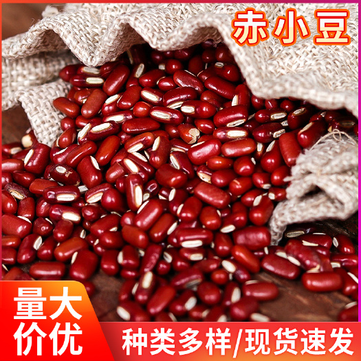 临沂批发长粒红豆五谷杂粮 赤小豆农家自产长粒红饭豆 赤小豆非红豆