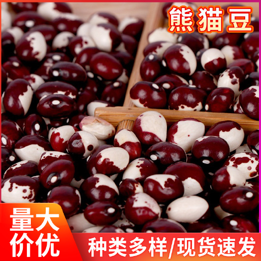 临沂 现货供应杂粮熊猫豆 五谷杂粮食品豆 农家自产散装粗粮熊猫豆