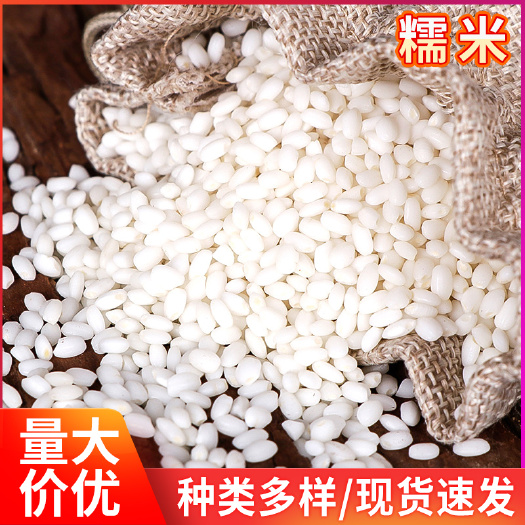 临沂 现货批发白糯米 包粽子煮粥原料东北农家糯米 五谷杂粮江米糯米