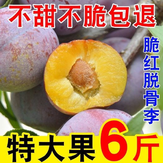茂县 四川脱骨李5斤装当季新鲜水果孕妇青脆甜李子整箱半边茵红李包邮