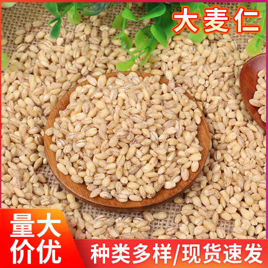 临沂农家自产大麦仁现货供应 五谷杂粮袋装大麦仁 熬粥粗粮去皮麦米