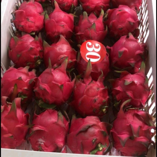 南宁金都一号火龙果～～红肉心大量供应