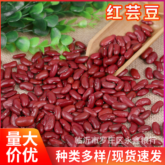 临沂 东北农家红芸豆 袋装25公斤红腰豆大红豆 五谷杂粮熬粥食材
