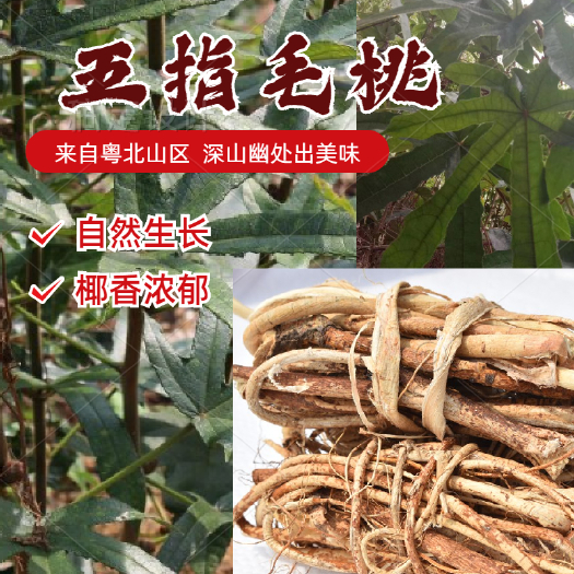 始兴县广东靓汤料五指毛桃根干货煲汤椰香煲鸡料理包清补凉药材