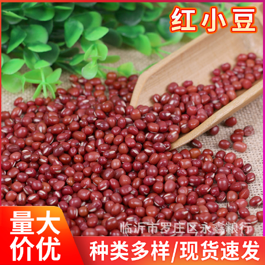 临沂红豆  东北珍珠粒红小豆非赤小豆农家五谷杂粮红小豆新货批发红小豆