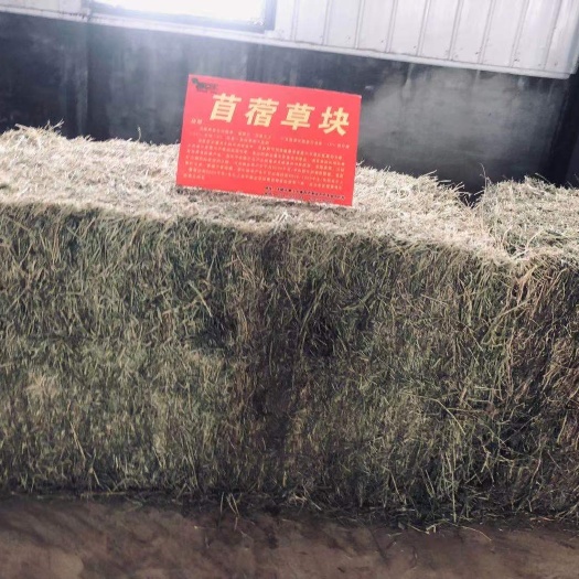 丰镇市大量出售苜蓿干草