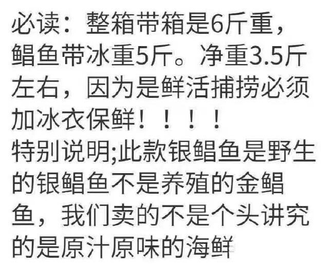 特大号银鲳鱼国产新鲜银鲳鱼平鱼海捕批发白鲳鱼鲜活速冻扁鱼批发