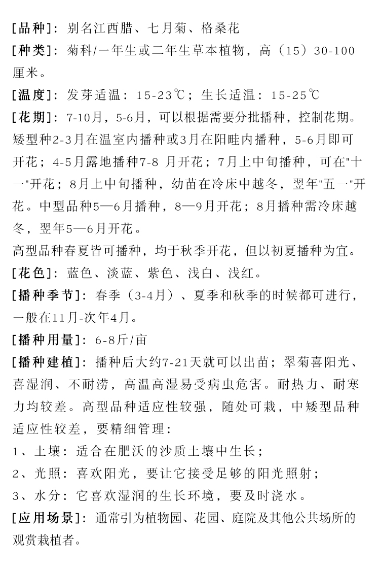 紫油菜种子  彩色油菜籽油菜籽观赏油菜籽见土就活包邮可榨油庭