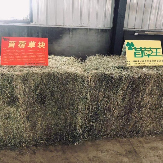 丰镇市 苜蓿干草出售
