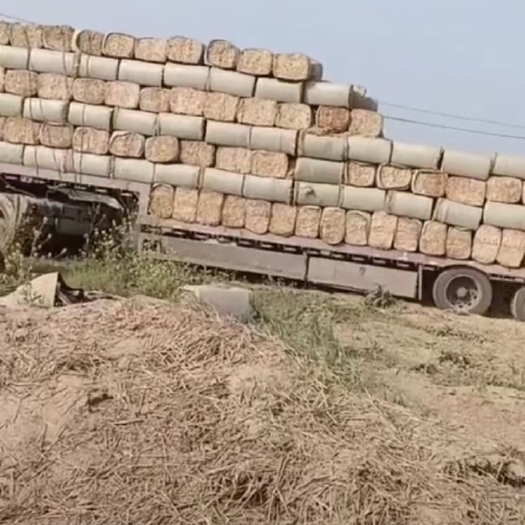 正阳县小麦秸秆 牛 羊 马 
