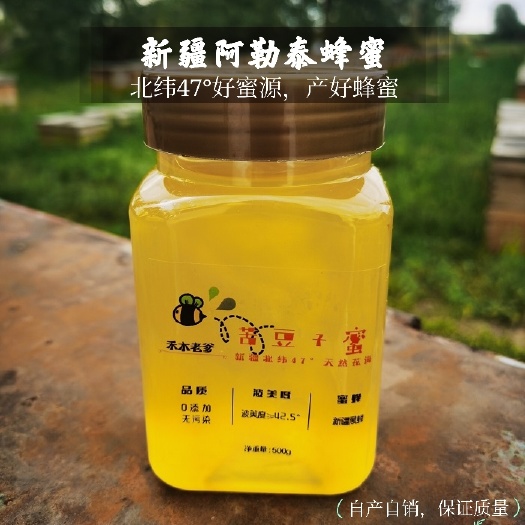 乌鲁木齐土蜂蜜  新疆阿勒泰蜂蜜，苦豆子蜜，成熟封盖蜜，500g装，假一赔十