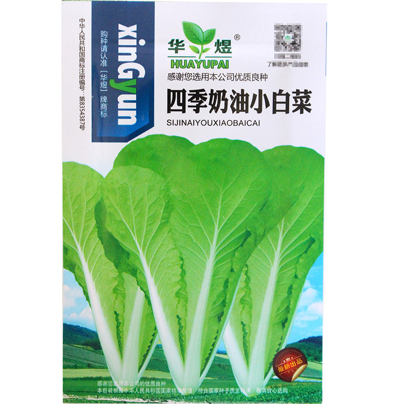小白菜种子  四季奶油小白菜， 阳台菜园纤维少叶菜种子 蔬菜种子
