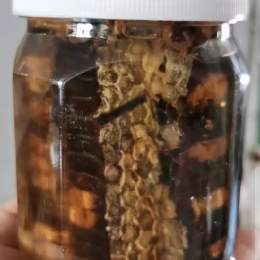 饶河县饶河东北黑蜂老蜂巢蜜 大自然的馈赠原汁原味老巢蜜，营养滋补品