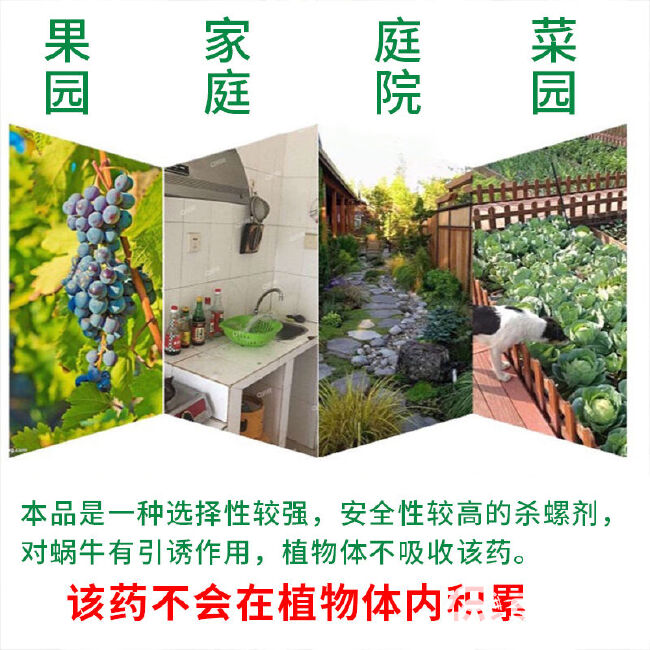 四聚乙醛杀蜗牛鼻涕虫蛞蝓福寿螺适用池塘庭院水稻花卉菜地蜗牛药