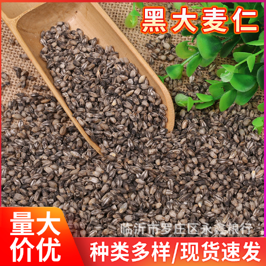 临沂 袋装25公斤黑大麦仁五谷杂粮黑大麦米动物饲料早餐粥食用黑麦仁