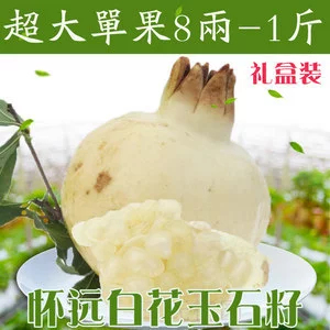 怀远县石榴 怀远特产，白玉石籽，红玉石籽，红玛瑙，产地直销