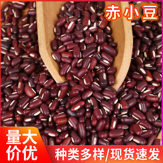 临沂批发长粒赤小豆 五谷杂粮粗粮 赤小豆散装新货赤小豆非红小豆