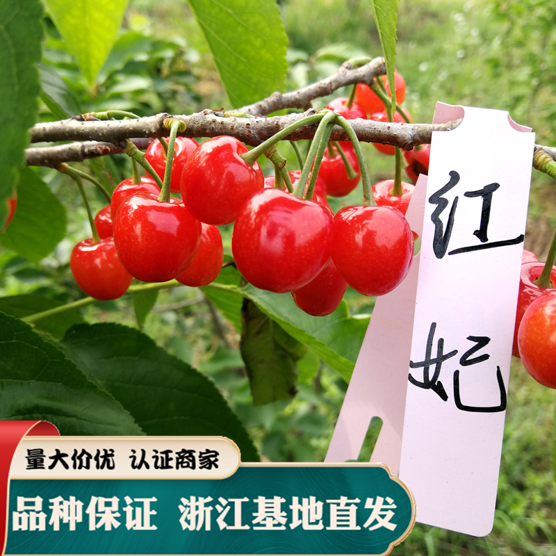 кӣ ɽ糡 ӣ ϷֳƷִӣ