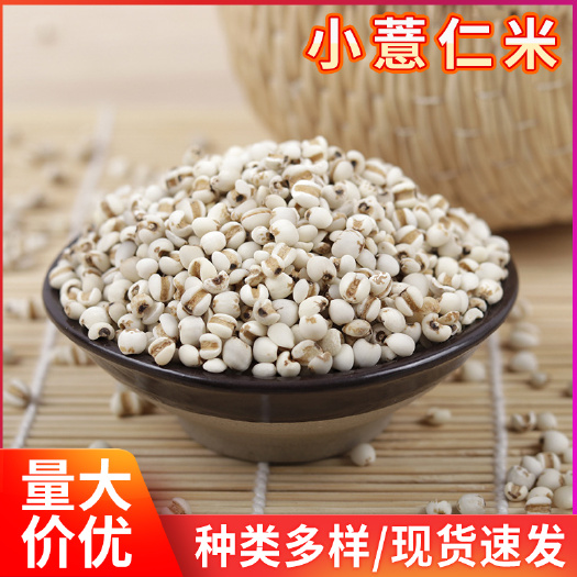 临沂 批发贵州薏米仁薏苡仁 食用薏仁米小薏米 五谷杂粮袋装薏米