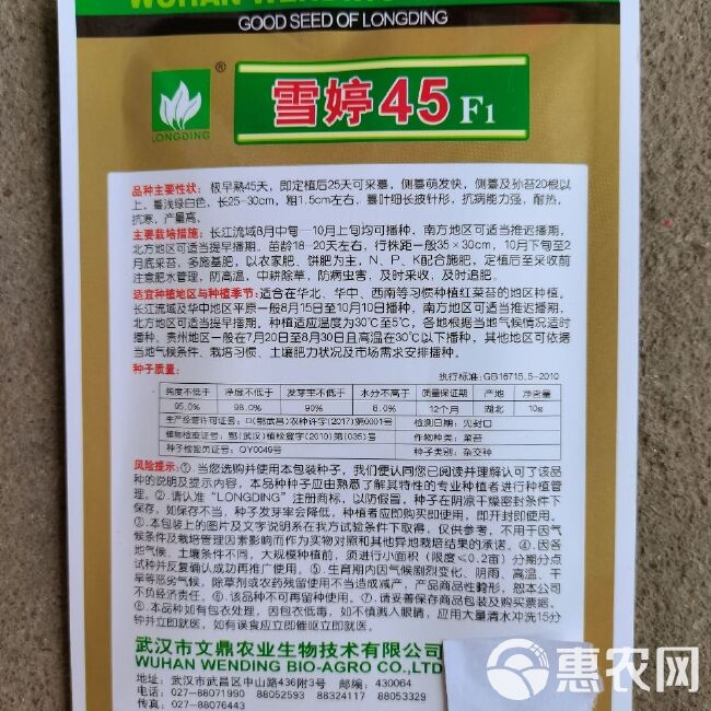 武汉文鼎雪婷45白菜苔种子10克 极早熟菜苔 抗病耐热耐寒