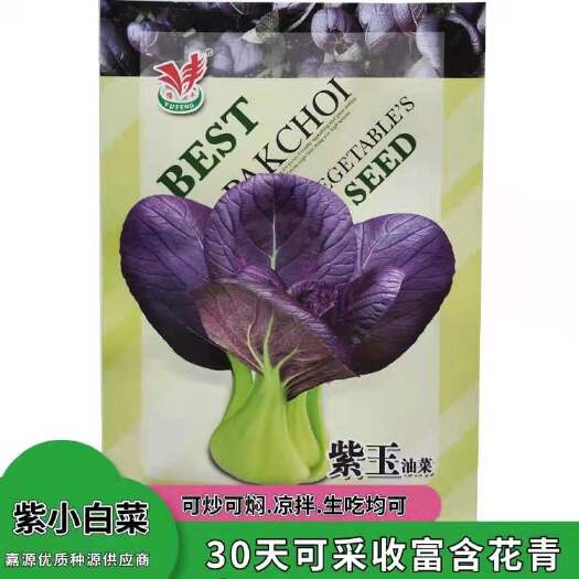 沭阳县紫青梗菜种子紫油菜种子紫小白菜种子紫小青菜种子紫蔬菜种子