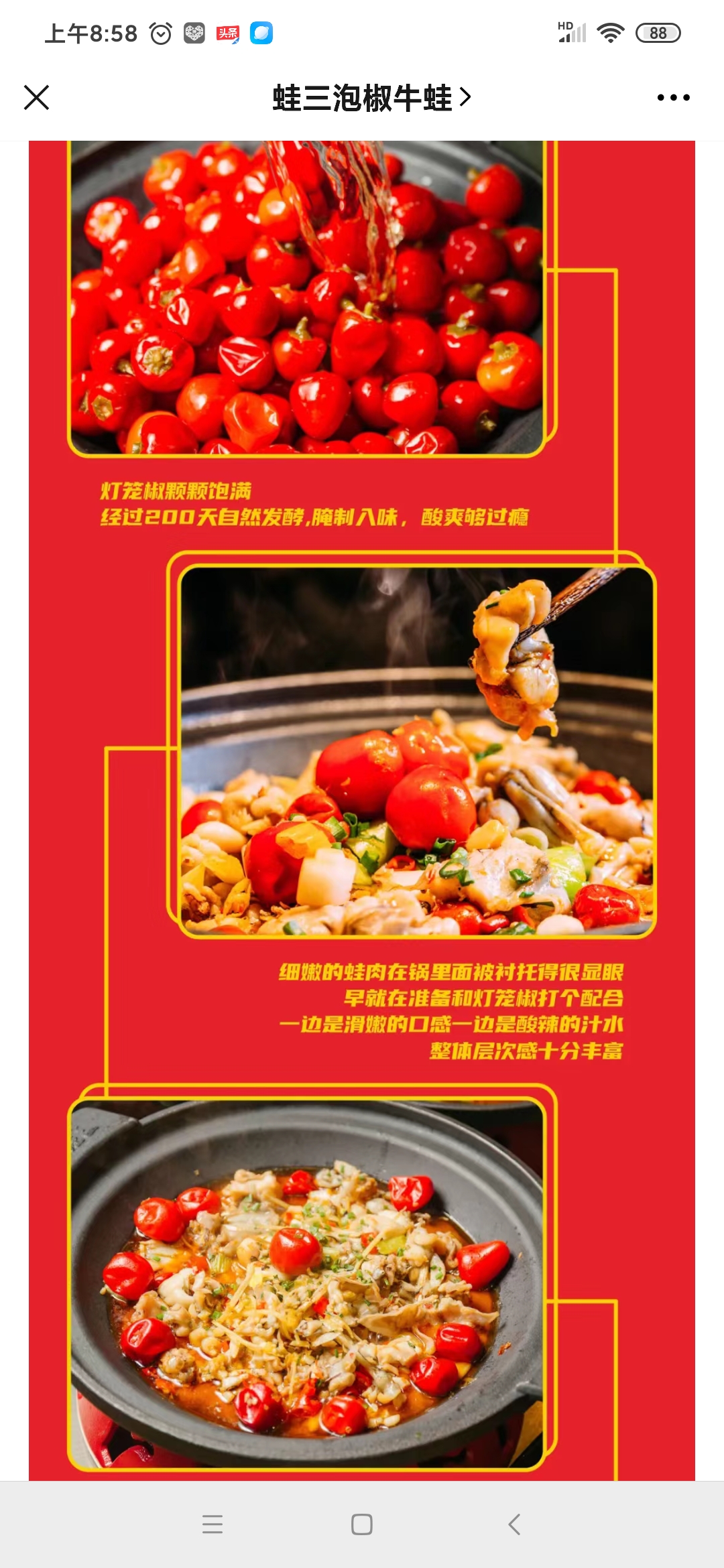 红泡椒  正宗老坛泡椒  泡红灯笼椒辣香味十足