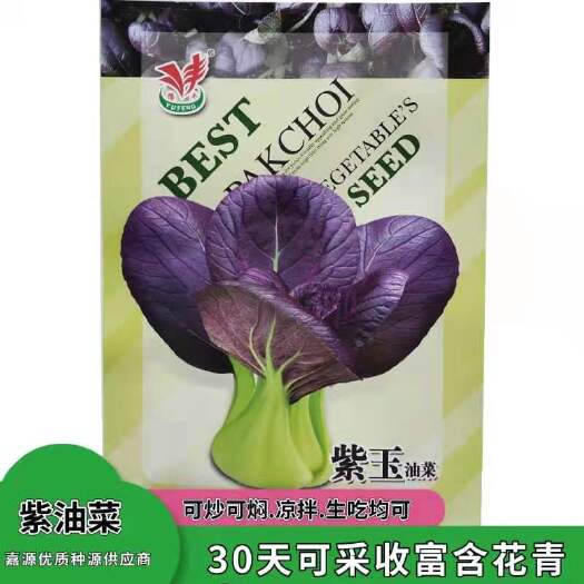 沭阳县紫油菜种子紫小白菜种子紫小青菜种子紫蔬菜种子生长周期短四季菜