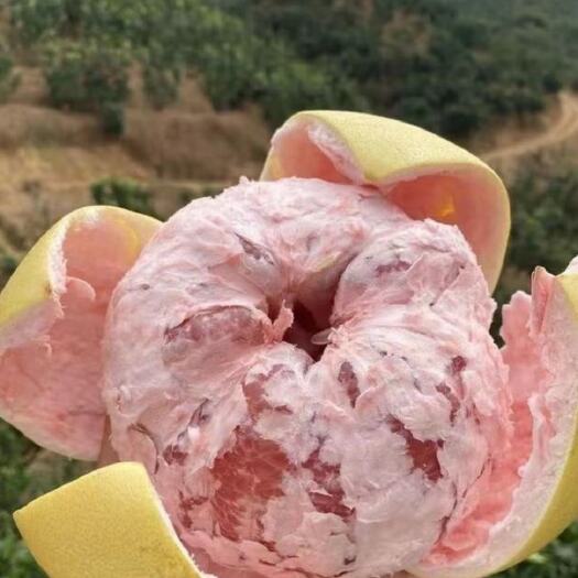 梅州红心柚 自家种的柚子，纯有机种植，不打蜡，不催熟，高端食物！中秋佳节