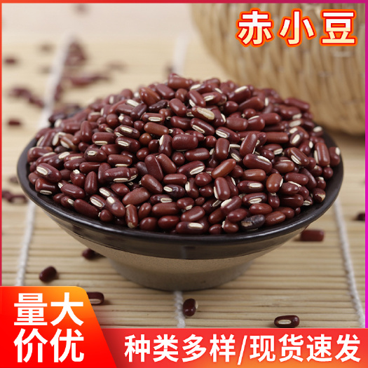 临沂 批发长粒赤小豆 非红豆赤豆五谷杂粮量大价优 农家自产现货红赤