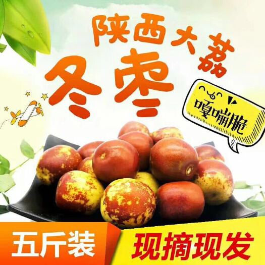 大荔县陕西大荔冬枣甜蜜上市 当季新鲜大枣红枣嘎嘣脆甜5斤新鲜水果