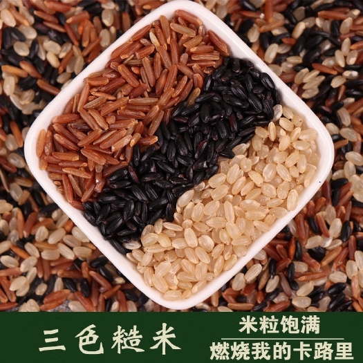 三色糙米 五谷杂粮红米黑米糙米粗粮