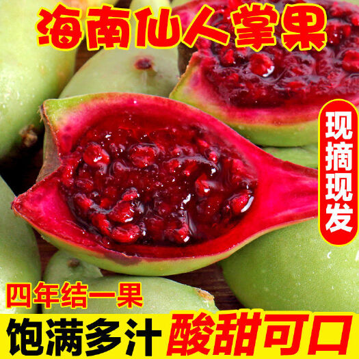 海口海南仙人掌果花青素水果三亚热带奇特水果应季水果仙人掌