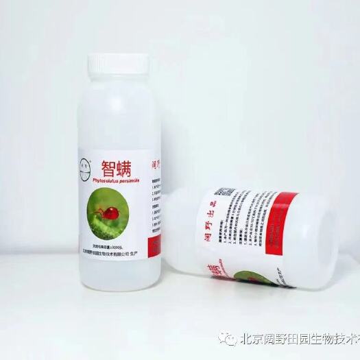 北京生物防治虫 智利小植绥螨 防治红蜘蛛 捕食性天敌