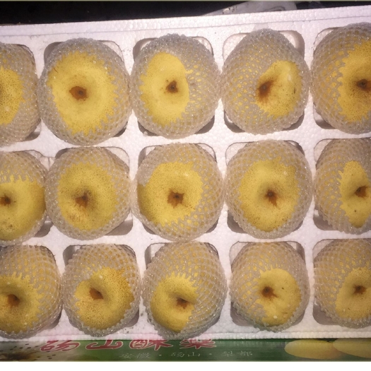 砀山县砀山酥梨一件代发发全国