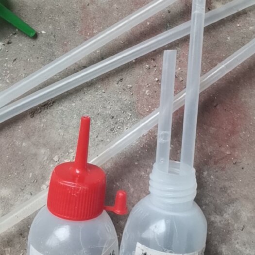 灌南县原种猪苗，纯正品种，猪精液