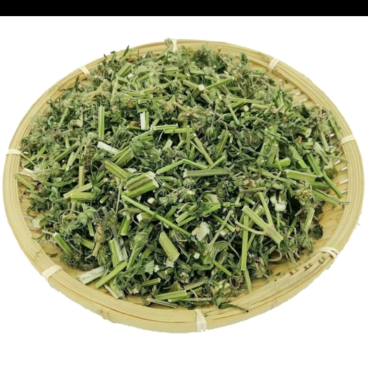 德庆县益母草