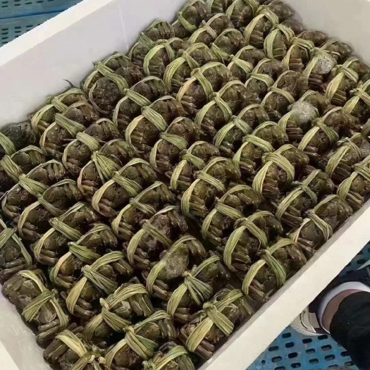 兴化市 红膏大闸蟹