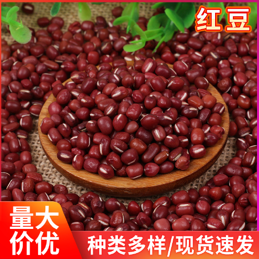 临沂 五谷杂粮生红豆生红小豆农家饱满豆类杂粮小红豆家用熬粥原料
