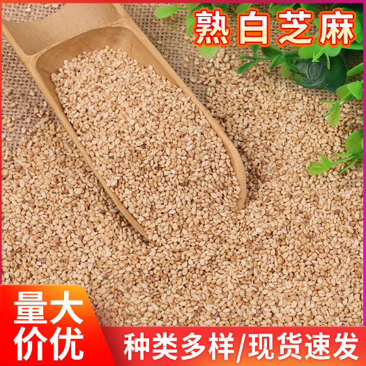 临沂熟白芝麻仁批发炒熟白芝麻五谷杂粮熟芝麻食品磨坊磨粉炒芝麻