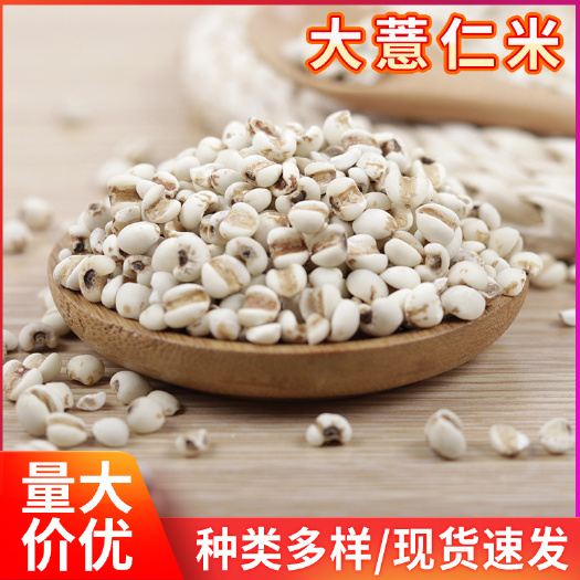 临沂批发贵州大薏米薏米仁五谷杂粮薏苡仁薏仁米粗粮泡茶食用薏米