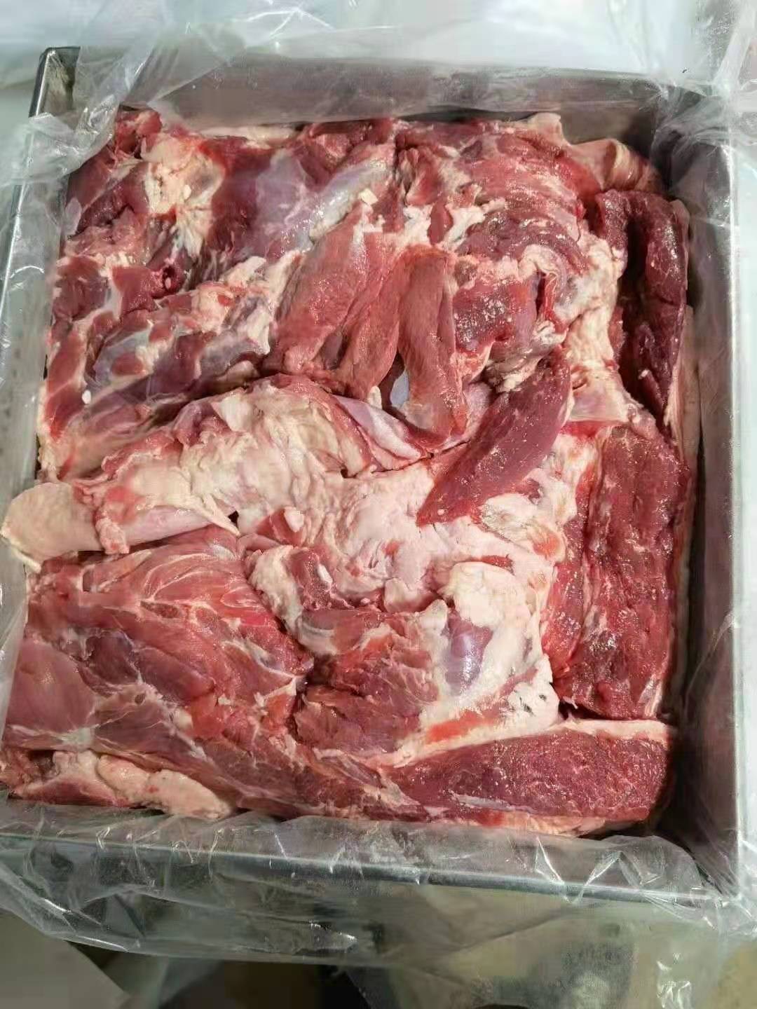 羊肉类  国产纯干羊板肉手里现货需要的联系