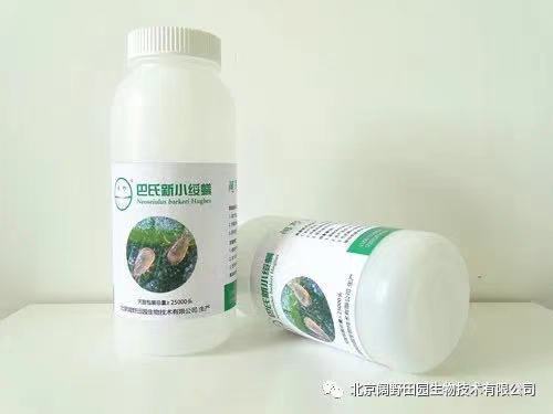 北京生物防治虫 巴氏新小绥螨 捕食性天敌 巴氏钝绥螨 小绥满 叶螨 红蜘蛛