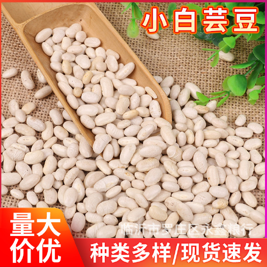 临沂 小白芸豆五谷杂粮批发菜豆白豆粗粮豆袋装颗粒饱满小粒白芸豆