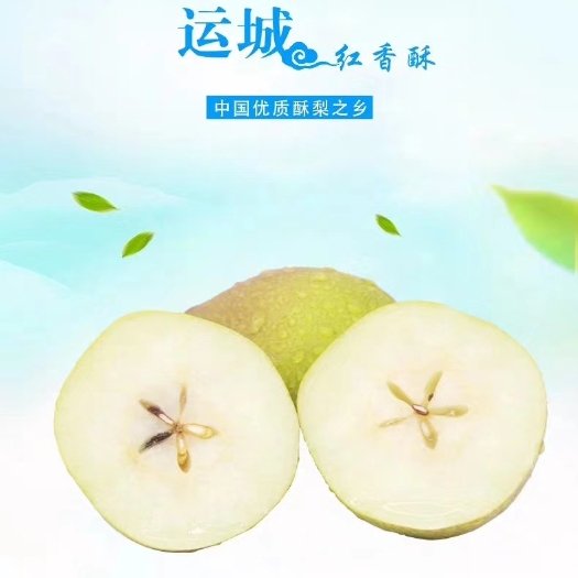 临猗县香梨  我家红香酥梨强势回归，红香酥梨皮薄肉嫩，脆甜，果肉洁