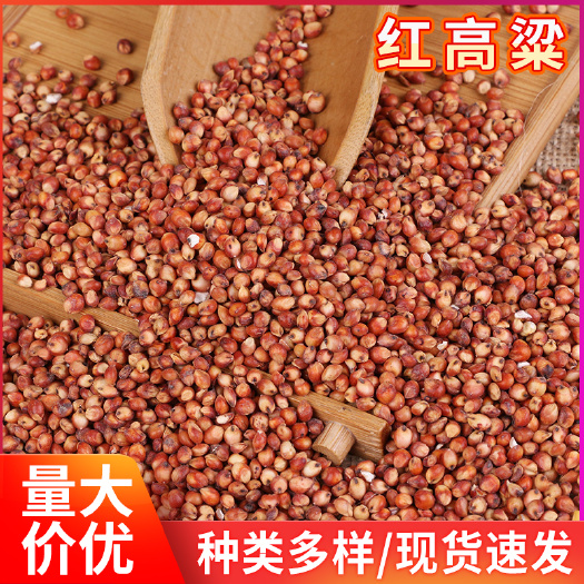 临沂现货批发供应红高粱五谷杂粮袋装高粱米酿酒酿醋鸽粮饲料高粱